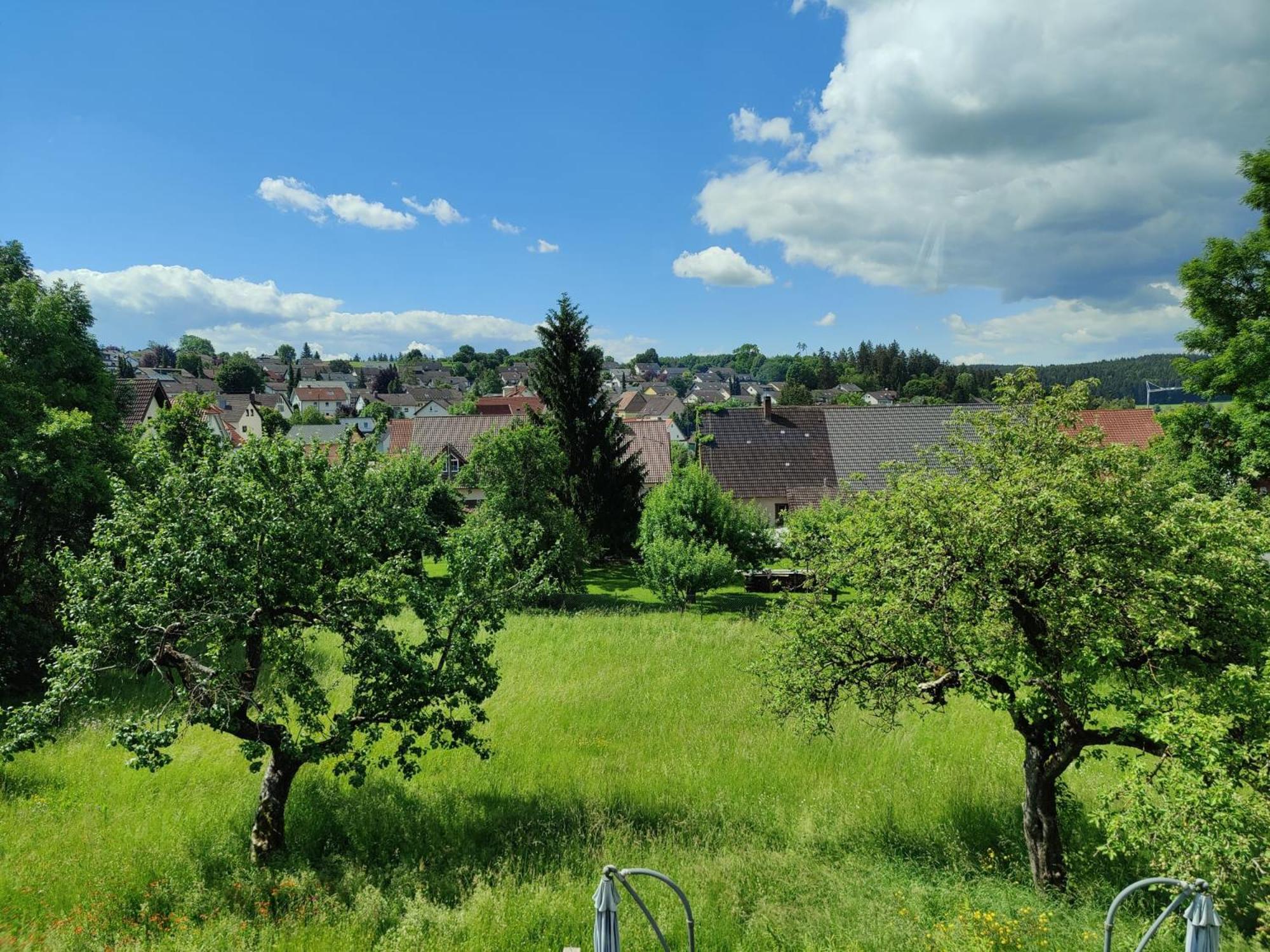 Апартаменты Ferien Im Schwarzwald - Brigachtal Heergasse Экстерьер фото